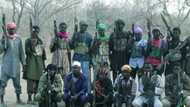 BREAKING: Boko Haram Chief Recruiter Arrested (Photo)
