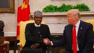 9 key issues President Buhari and President Trump discussed (video)