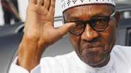 2019: Opposition reportedly reaches agreement on ‘unity candidate’ to challenge President Buhari