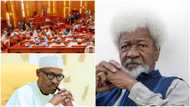 Trouble as Professor Soyinka drops bombshell over lawmakers' move for Buhari's impeachment