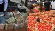 Tomato seller claims ownership of N250m cash found in Balogun market