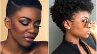 Best short natural hairstyles for beautiful Nigerian women in 2018