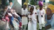 UPDATED: Badoo terror gang kills pregnant woman with pestle and mortal, removes and takes away her unborn baby in Ikorodu