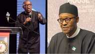 Nigeria's economy will collapse unless Buhari does THIS - Peter Obi lashes out