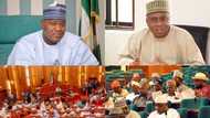 Reps block Senate’s move to cut Nigerian president’s powers