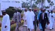 Allow Buhari remain in power, losing him will cause an explosive situation, Analyst to Nigerians