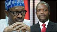 Osinbajo is healthier, check out 6 other reasons Nigerians think Osinbajo is a better president than Buhari (photos, video)