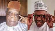 Cabals out to truncate Nigeria's democracy - Buhari's former teacher cries out