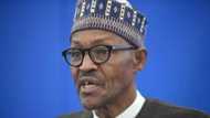 Nigeria will never witness civil war again, Buhari prays