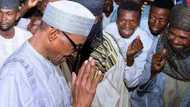 President Buhari is a victim of 'juju' - Supporters