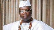 Herdsmen quit notice: Gani Adams tackles FG, says presidency doesn’t know meaning of forest reserve