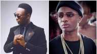 6 interesting facts about Wizkid and Dammy Krane fight