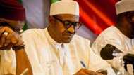 Buhari’s Appointments Demonstrate His Deep Hatred For Ndigbo – Ohaneze Raises Alarm