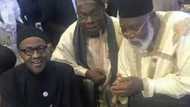 Audience With The President: Obasanjo, Jonathan, Abdulsalami Beg Buhari Not To Probe Them?