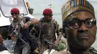 Top 5 likely demands by Niger Delta Avengers Buhari will NEVER accept