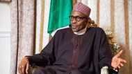 Confusion as sacked DGs, heads of agencies disobey Buhari