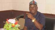 Perpetrators of Benue killings will not know peace - Governor Ortom declares