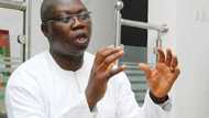 Yabon gwani ya zama dole: Matasan Arewa sun karrama Gani Adams