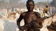 Analysis: The deadly influx of Fulani herdsmen in Nigeria