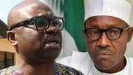 Buhari enough of these empty promises, Fayose attacks PMB