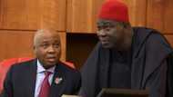 They are planning to humiliate members of PDP, NASS leadership - Ekweremadu raises fresh alarm, accuses FG
