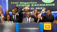 Despite massive gains, Nigerian exchange not among top-performing stock markets in Africa