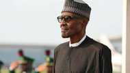 Buhari should not expect automatic support from the north - Ango Abdullahi speaks about 2019 presidency