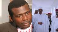 Buhari must go - Adegboruwa calls for mass protest until the president resigns