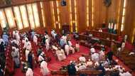 Everything we have done is within our powers - National Assembly opens up on 2018 Budget cuts