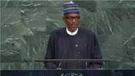 LIVE UPDATES: Buhari addresses UN Assembly, proposes strong delegation to North Korea as Trump vows to destroy Pyongyang