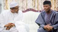 Yadda firar Buhari da Osinbajo ta kasance a tarho kafin korar Lawal Daura (Karanta)