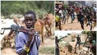 5 killed as Fulani herdsmen attack Benue farmers again