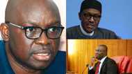 Fayose attacks Buhari over alleged raid on Ekweremadu’s guest house