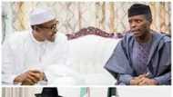 Abubuwa 6 na kamance tsakanin Buhari da 'Yar'aduwa