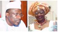 PDP is dead and buried - Buhari's aide mocks opposition party over police takeover of party’s Lagos secretariat