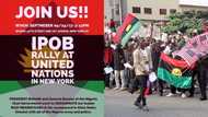 IPOB: Pro-Biafra supporters plan mass protest in New York on September 19 (photo)