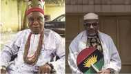 Dethrone Nnamdi Kanu's father now or we will burn down his palace - Umuahia youths give Ikpeazu 24 hours to act