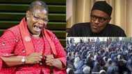 Bring Back Our Girls group asks FG, Buhari 4 questions on the abduction of 94 Dapchi schoolgirls