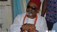 Senate summons Chris Ngige over his threat to banks to stop retrenchment of staff