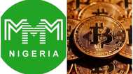MMM and Bitcoin: 6 MAJOR facts to know about the new form of payment for January 14