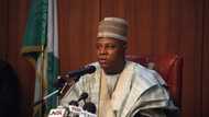 2023 elections: Shettima reacts to attacks on INEC offices, IPOB's reign in southeast