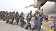 You just lied again - Nigerian Air Force hits Amnesty International over recent report of killings in Adamawa