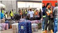 We have been in London for so long, we can't trace our families - Deported Nigerians cry out (photo)
