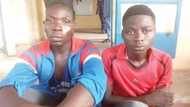 Why I kidnapped my boss' son and demanded N150,000 ransom - Guard