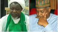 Ka saki Sambo Dasuki da El-Zakzaky yanzu – HURIWA ga Buhari