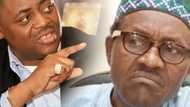 Fani-Kayode Lists Buhari’s "Lies", Reveals How GEJ Reclaimed 22 LGAs From Boko Haram