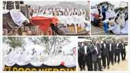 Hehe! See what happened recently at a mass wedding with 200 brides (photos)