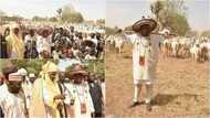 Hotunan gwamna jihar Kano Ganduye yayin da ya fita kiwon shanu a jihar Kano
