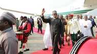 Update: President Buhari departs New York for medical appointment in London