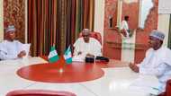 What Saraki, Dogara told President Buhari about Dino Melaye